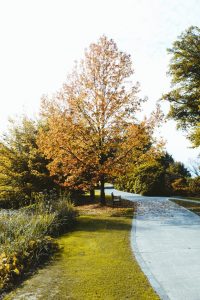 boca raton parks